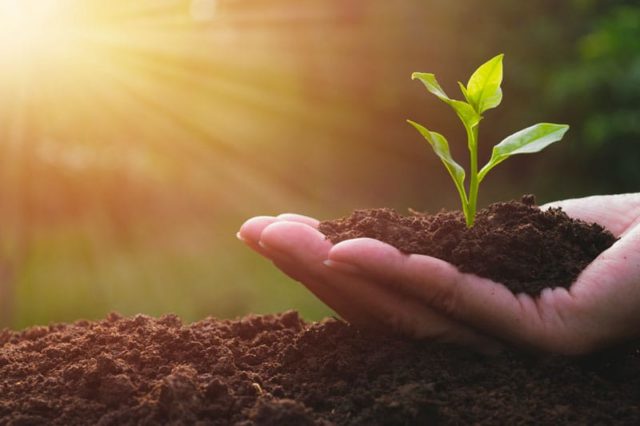 Is IoT the Future of Ag?