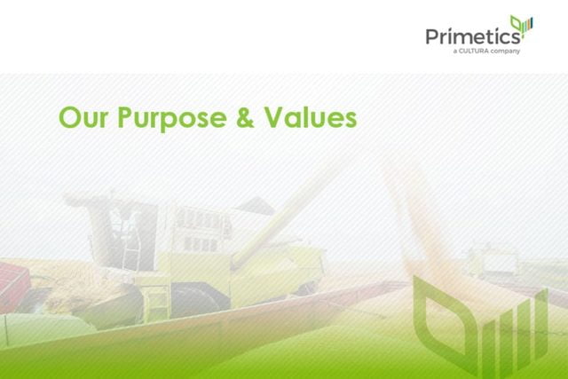 Primetics – Our Purpose and Values